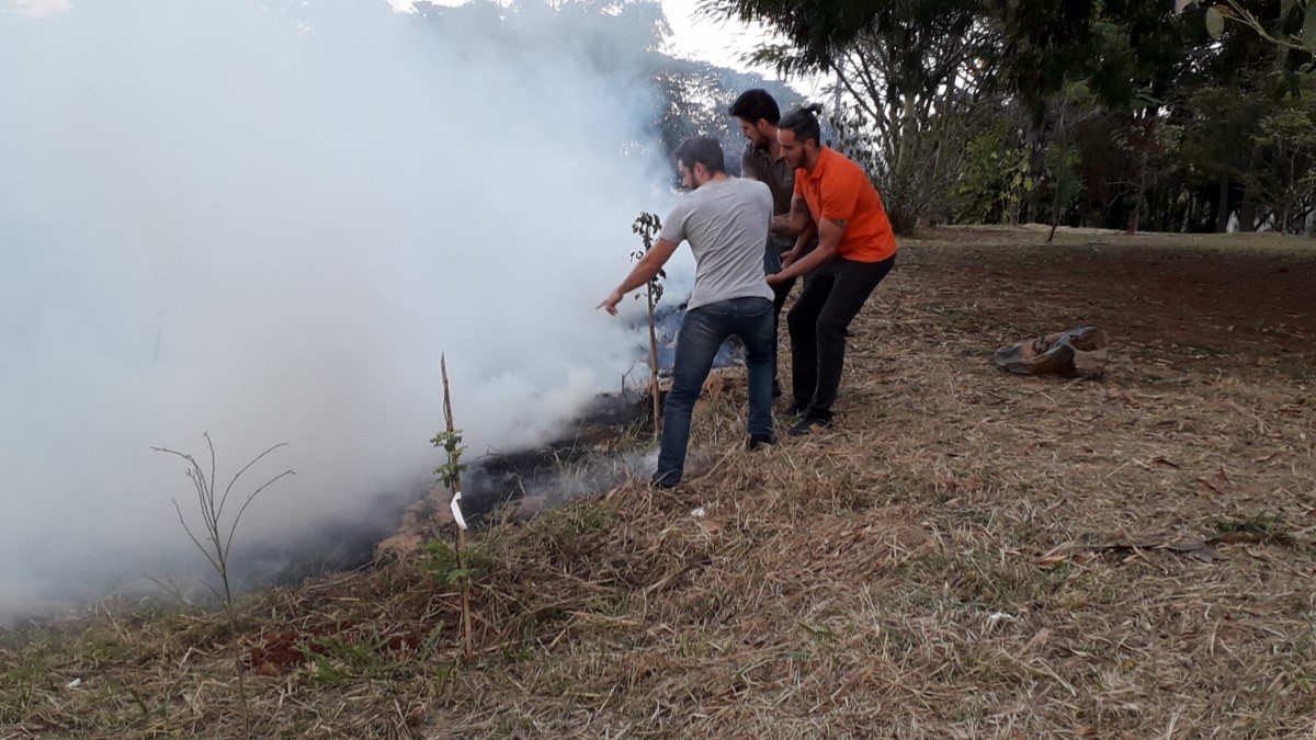 Fogo no mato incomoda moradores do Jardim Chapadão