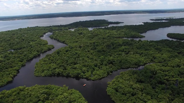 Artigo: Uma análise crítica sobre as queimadas na Amazônia