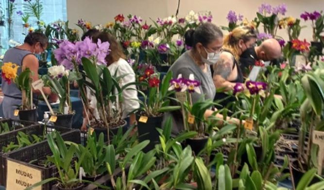 Feira de Orquídeas e Suculentas acontece de 10 a 12 de março na Estação Cultura de Campinas