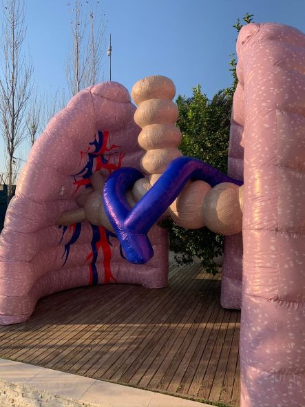 Pulmão gigante circula por Campinas no mês de combate ao tabaco