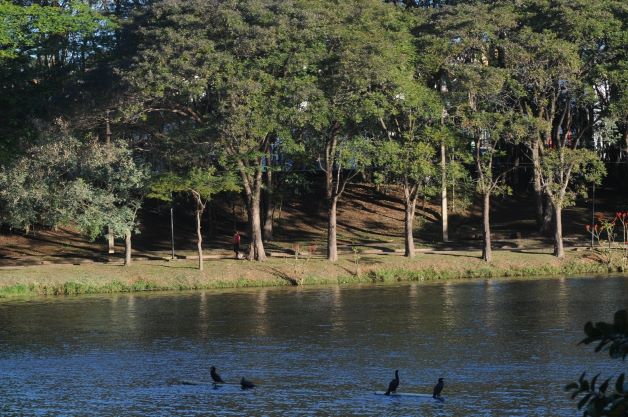 Trecho da pista interna da Lagoa do Taquaral será reaberto neste sábado, 15