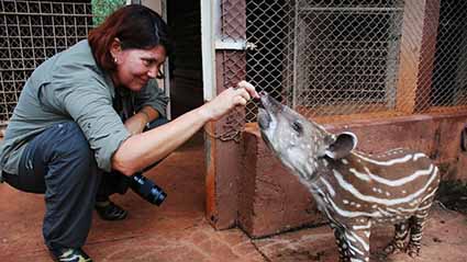 Acervo digital reúne obra de vida de Liana John, pioneira em jornalismo ambiental no Brasil