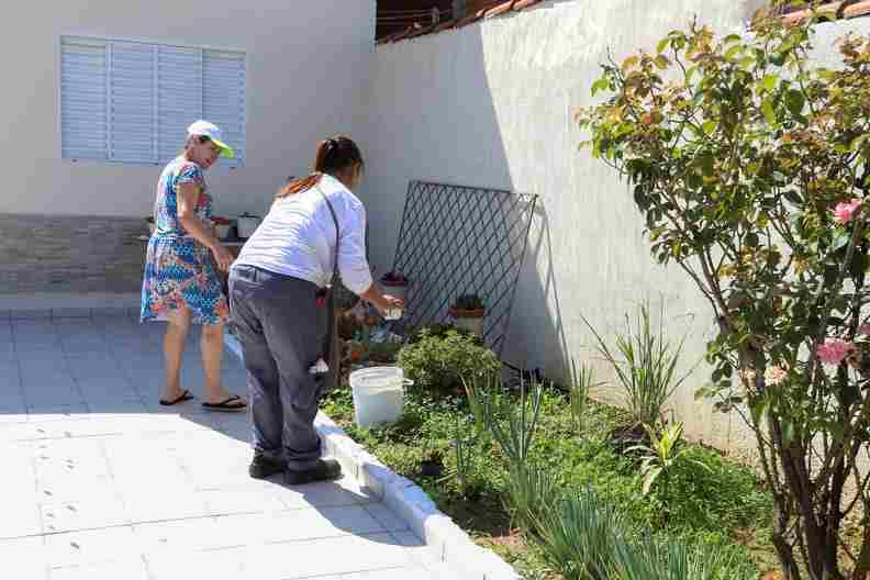 Saúde define mutirões contra a dengue a cada 15 dias e boletim em Campinas