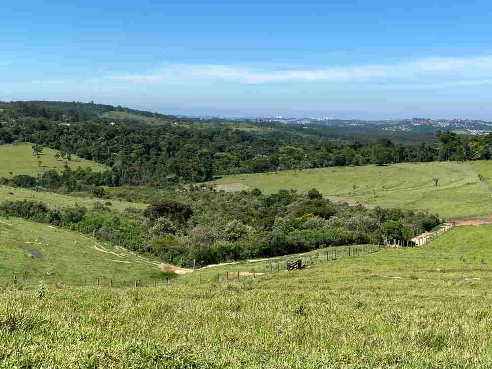 Floresta dentro de Campinas busca melhorar o clima e a biodiversidade