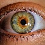 Glaucoma: 8 mitos e verdades que você precisa saber