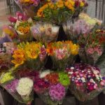 Produtores do Ceaflor ampliam oferta para atender demanda do Dia das Mães