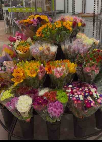 Pronto para voce e a novidade da Flor Facil para impulsionar vendas Divulgacao