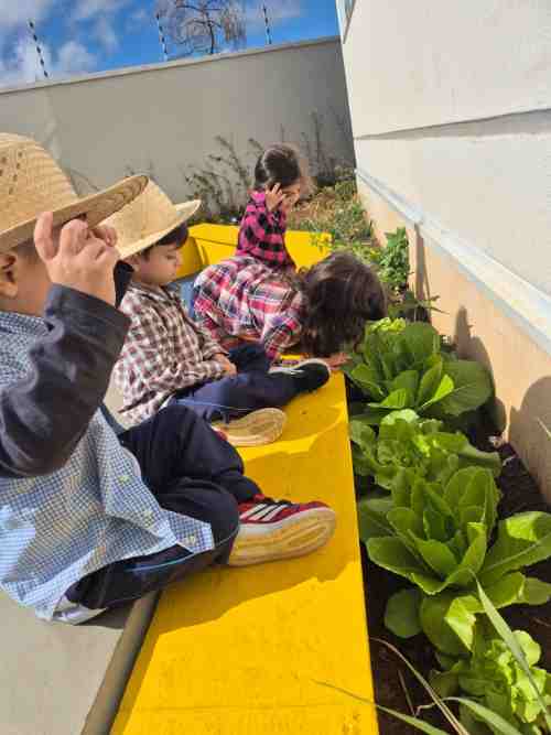 ‘Cultura Maker’ é aplicada na pedagogia educacional