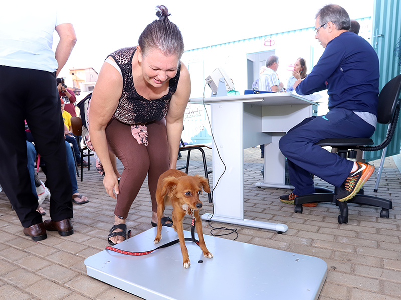 Consultório Veterinário Móvel oferece vacinas e microchipagem gratuitas em Campinas