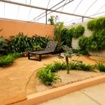 Locação de climatizadores garante conforto térmico e eventos de final de ano