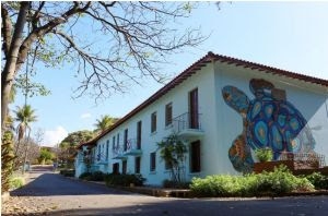 Velha guarda do passado ao presente e tema da