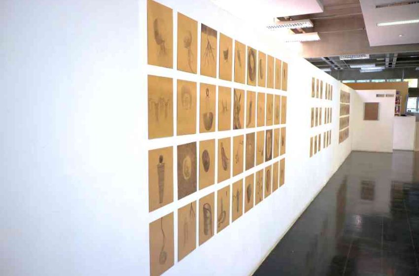 WhatsApp Image 2025 11 05 at 08.58.43