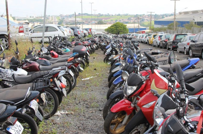 Emdec lotes para leilao