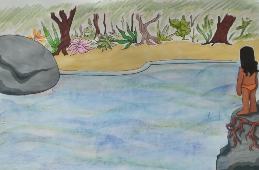 Frame do curta Plantas Medicinais Divulgacao