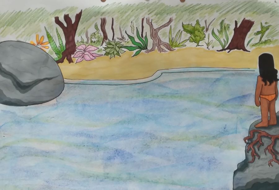 Curta-metragem Plantas Medicinais estreia dia 19 de dezembro na Unicamp