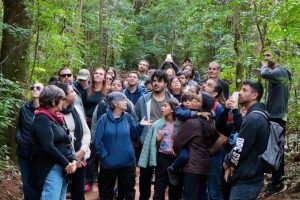 Voluntários contribuem para a conservação da Mata de Santa Genebra 2 Mata Santa Genebra voluntarios