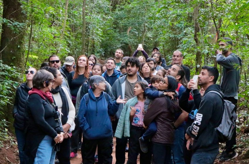 Mata Santa Genebra voluntarios