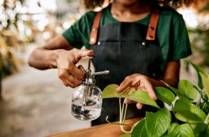Vinagre de maca tem poder antibactericida shakures